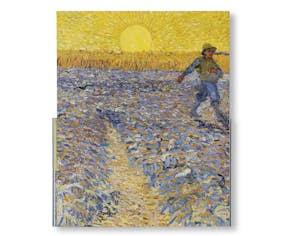 VAN GOGH - THE BIGGER PICTURE